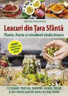 Leacuri din Ţara Sfântă : plante, fructe şi mirodenii vindecătoare