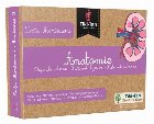 Lectii Montessori Anatomie: Organe interne