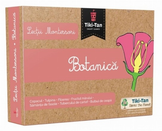 Lectii Montessori - Botanica
