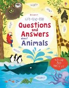 Lift the flap questions and