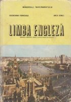 Limba engleza Manual pentru anul