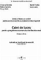 Limba şi literatura română pentru