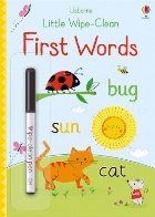 Little wipe clean first words