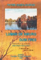 Lumini de Amurg - Dusk Fires (Rondeluri si Sonete, Editie Bilingva romano-engleza)