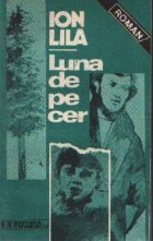 Luna de pe cer