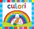 Ma joc si invat culori cu magneti