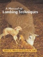 Manual Lambing Techniques