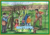 MAPA ANOTIMPUL PRIMAVARA