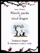 Marele Panda şi dragonul Tiny