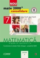 MATE 2000 CONSOLIDARE MATEMATICA ALGEBRA