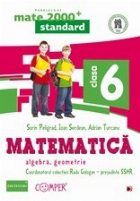 MATE 2000 STANDARD - MATEMATICA. ALGEBRA, GEOMETRIE. CLASA A VI-A (Editia a II-a)