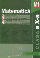 Matematica Clasa Breviar teoretic Exercitii