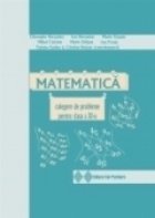 Matematica. Culegere de probleme pentru clasa a XI-a