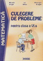 Matematica Culegere probleme pentru clasa