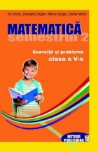 Matematica Exercitii probleme Clasa semestrul