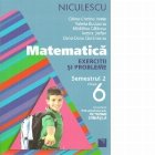 Matematica. Exercitii si probleme pentru clasa a VI-a, semestrul II