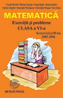 Matematica Exercitii si probleme pentru clasa a VI-a, semestrul al II-lea