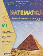 Matematica. Manual pentru clasa a XI-a M1