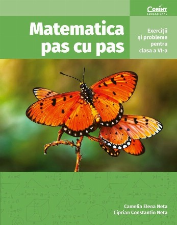 Matematica pas cu pas : exerciţii şi probleme pentru clasa a VI-a