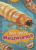 Mealworms