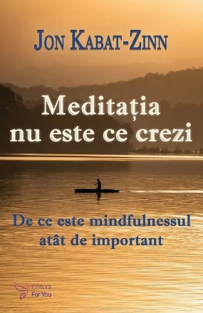 Meditaţia nu este ce crezi : de ce este mindfulnessul atât de important