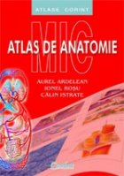 MIC ATLAS ANATOMIE