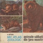 Mic atlas zoologic - Animale salbatice din tara noastra Mic atlas zoologic - Animale salbatice din tara noastra