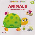 Mişc şi descopăr : animale