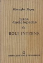Mica enciclopedie Boli Interne (Mogos)