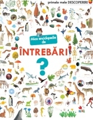 Mica enciclopedie de intrebari