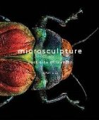 Microsculpture