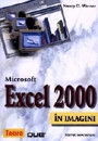 Microsoft Excel 2000 in imagini