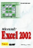 Microsoft Excel 2002