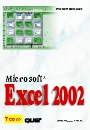 Microsoft Excel 2002