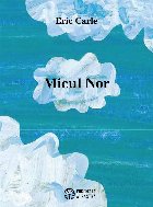 Micul nor