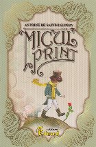 Micul Print