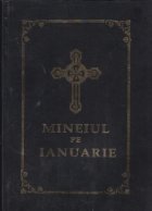 Mineiul pe Ianuarie