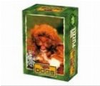 Mini Puzzle 54 - Animale - Caini