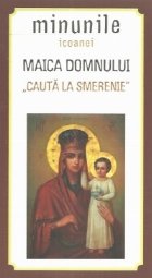 Minunile Icoanei Maica Domnului Cauta