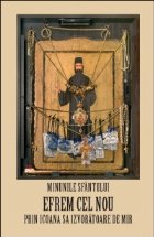 Minunile Sfantului Efrem cel Nou