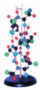 MULAJ STRUCTURA PROTEINEI SECUNDARE