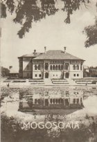 Muzeul de arta bricoveneasca Mogosoaia