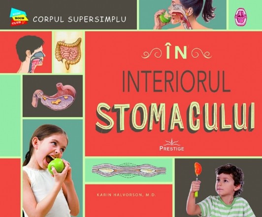 În interiorul stomacului