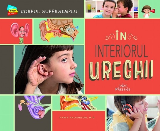 În interiorul urechii