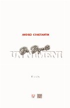 nimeni departe roman