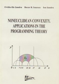 Noneuclidean Convexity Applications in the Programming Theory