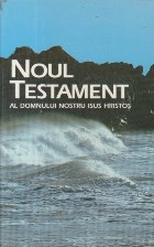 Noul Testament al Domnului Nostru Isus Hristos