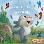 Numara pana la 10 cu Bocanila