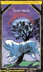 O noapte de vara O noapte de vara