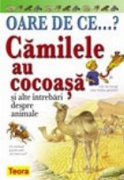 Oare Camilele cocoasa